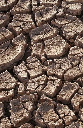 Ir a 17 de Junio, Día Mundial de la Lucha contra la Desertificación y la Sequía