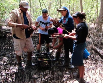 Ir a La Bahía de la Unión quiere recuperar el 100% del Bosque Manglar, El Salvador