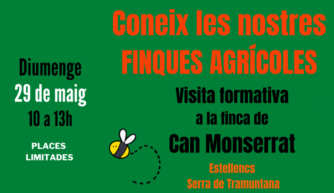 Ir a Visita formativa a la finca agroecológica de Can Monserrat (Estellencs)