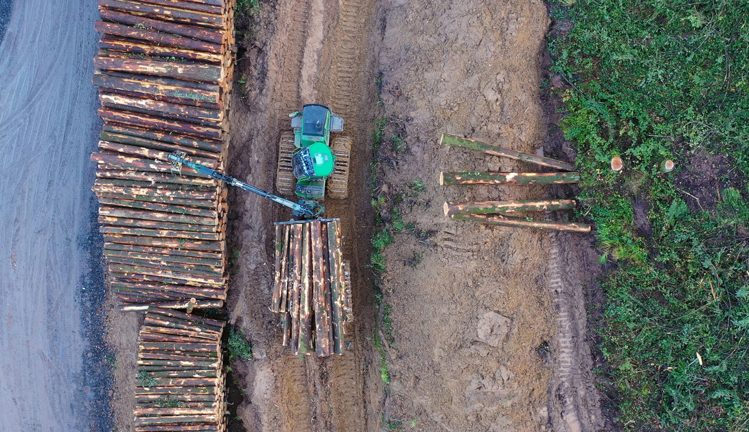 Ir a Satisfacción por el voto del Parlamento Europeo sobre el Reglamento para combatir la deforestación importada
